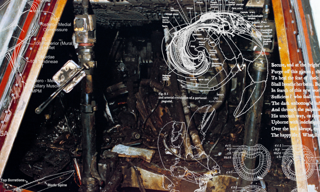 Xenosystems: Memoirs of an Ongoing Infection – Vast Abrupt